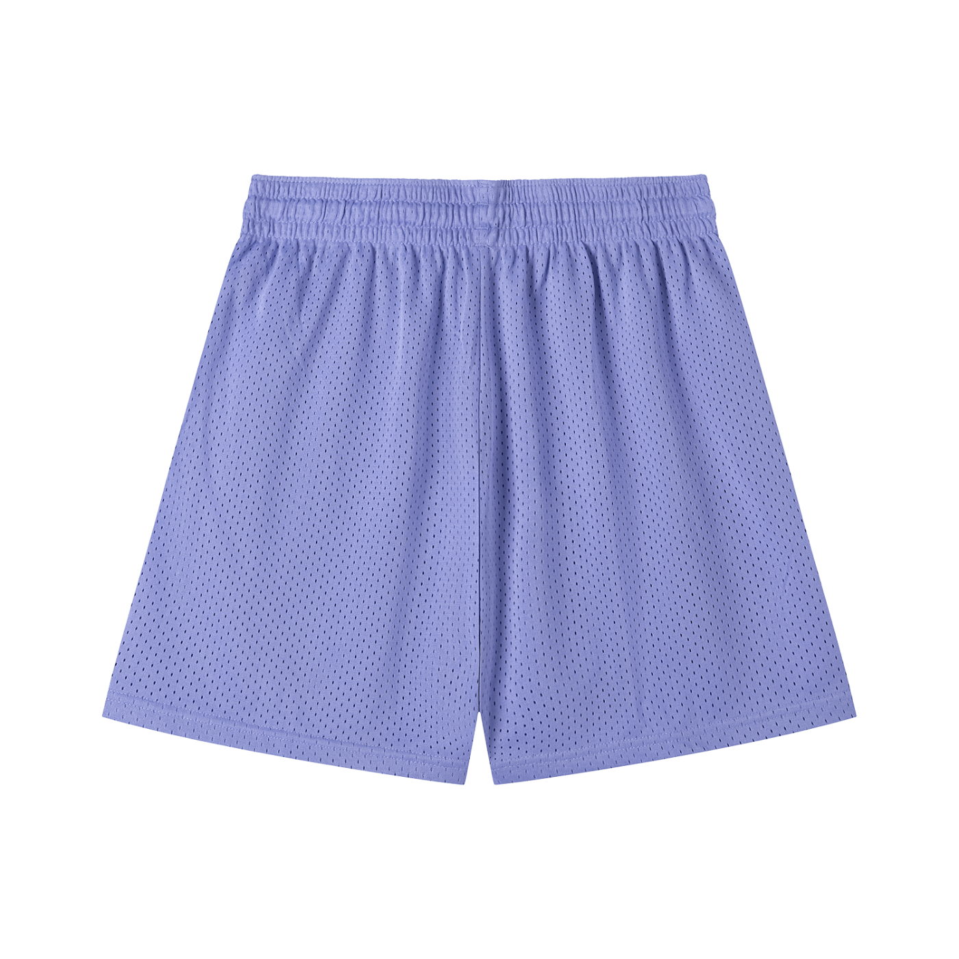 Mesh Sport Shorts